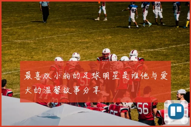 最喜欢小狗的足球明星是谁他与爱犬的温馨故事分享