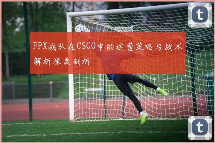 FPX战队在CSGO中的运营策略与战术解析深度剖析