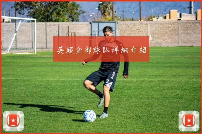 英超全部球队详细介绍