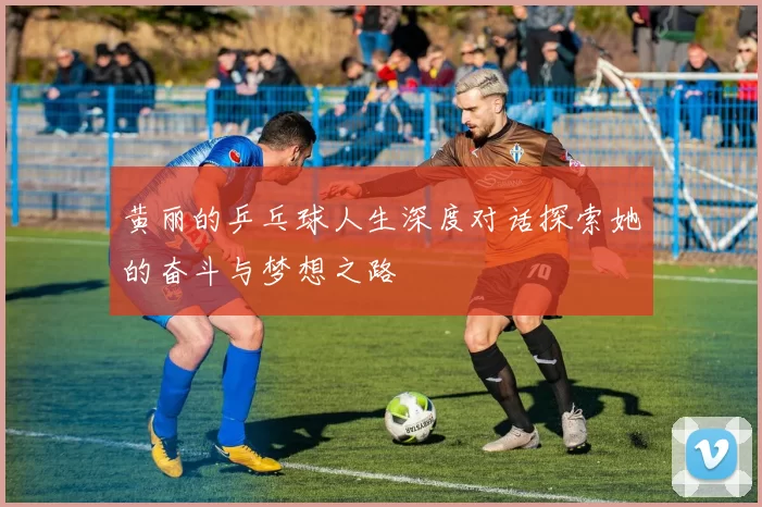黄丽的乒乓球人生深度对话探索她的奋斗与梦想之路