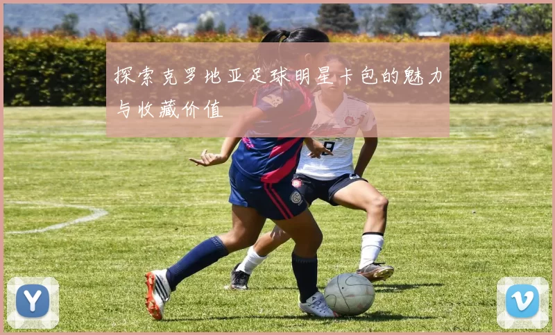 探索克罗地亚足球明星卡包的魅力与收藏价值