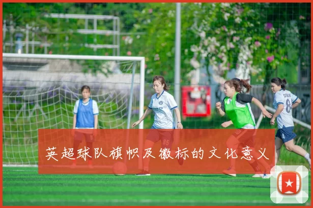 英超球队旗帜及徽标的文化意义