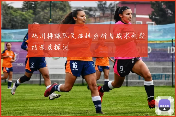 杭州排球队灵活性分析与战术创新的深度探讨