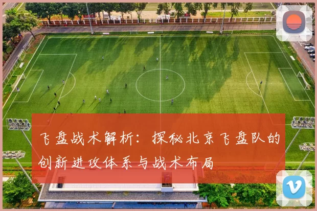 飞盘战术解析：探秘北京飞盘队的创新进攻体系与战术布局