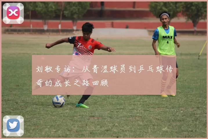 刘敏专访：从青涩球员到乒乓球传奇的成长之路回顾