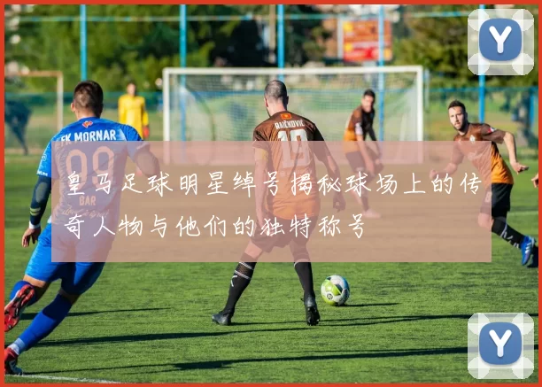 皇马足球明星绰号揭秘球场上的传奇人物与他们的独特称号