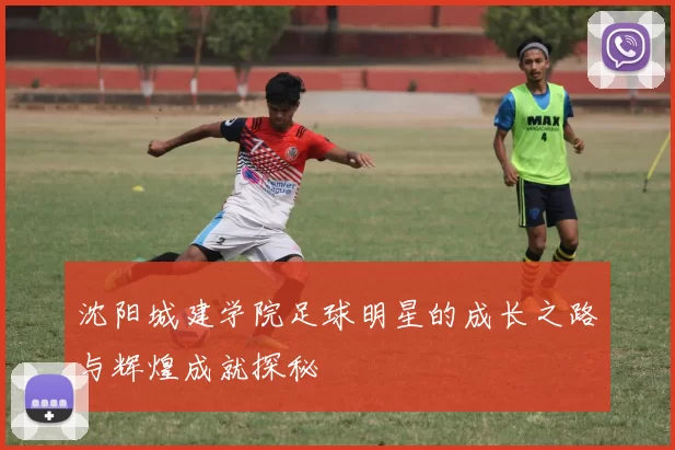 沈阳城建学院足球明星的成长之路与辉煌成就探秘
