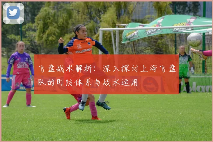 飞盘战术解析：深入探讨上海飞盘队的盯防体系与战术运用